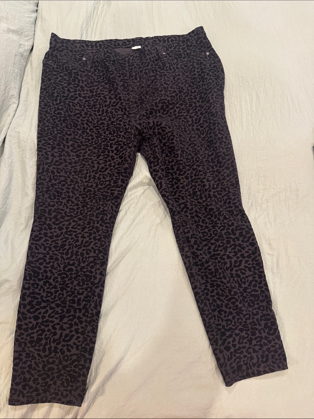 Terra & Sky Black Leopard-Print Skinny Jeans